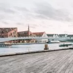 Aurora Ferreira B6yjyWmBStA Unsplash 1 1