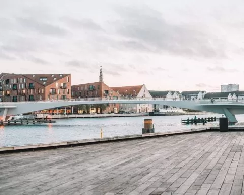 Aurora Ferreira B6yjyWmBStA Unsplash 1 1