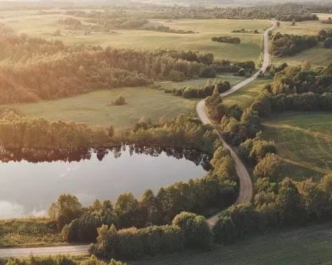 Polina Kuzovkova A86L1wcDqRU Unsplash 1 1