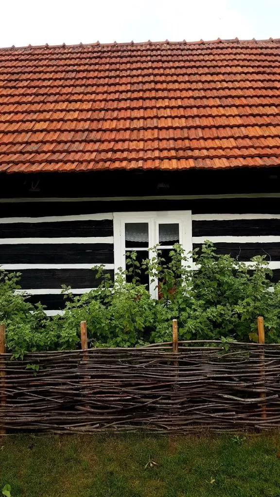 20220925 110445 Resized 1 1 1