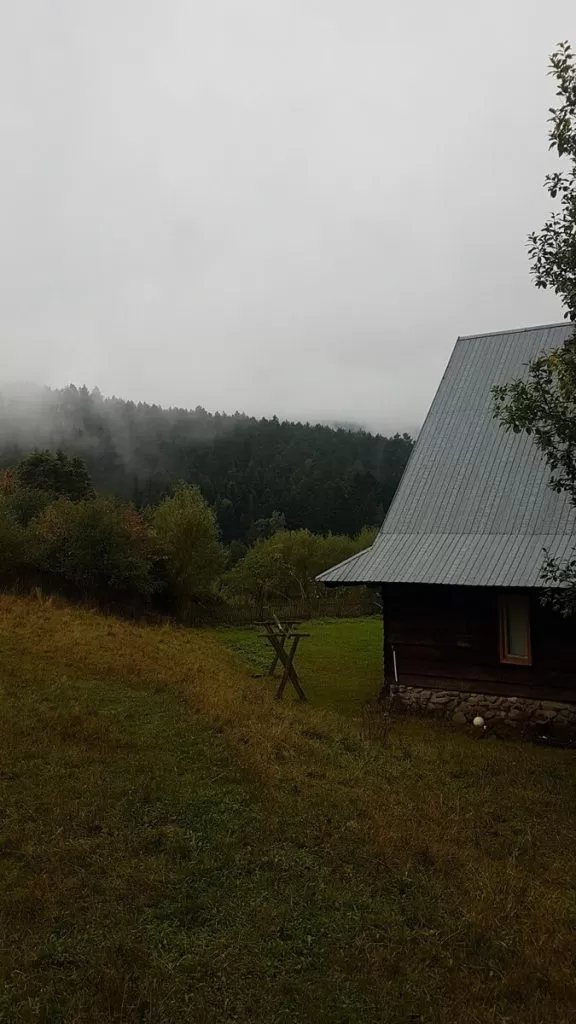 20220926 102058 Resized 1 1 1