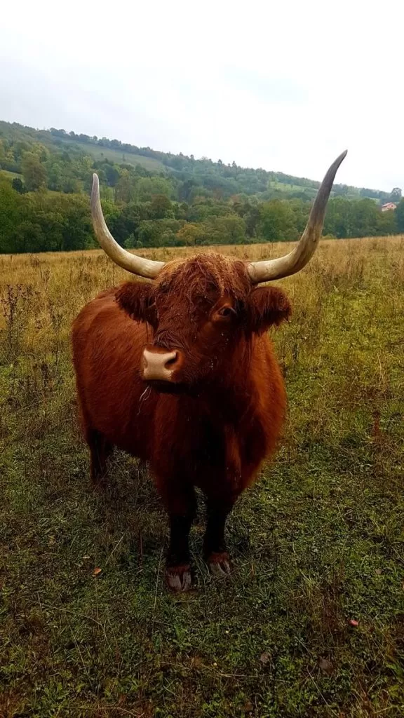 podkarpacie atrakcje