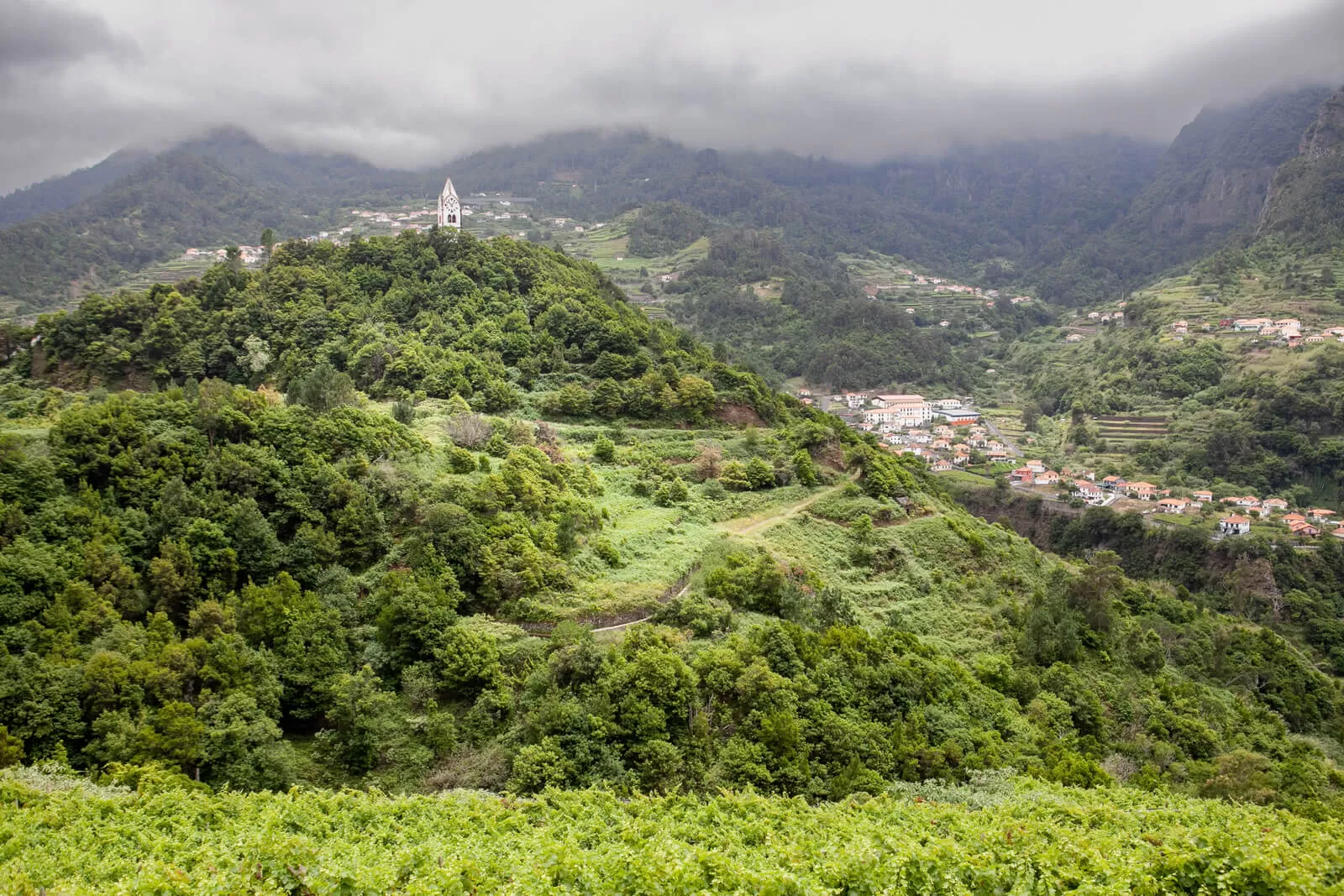 madera, świat alkoholi