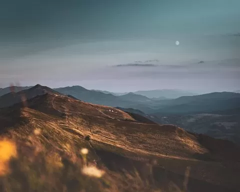 Marek Piwnicki GYgKDHSvI0o Unsplash 1 1 1