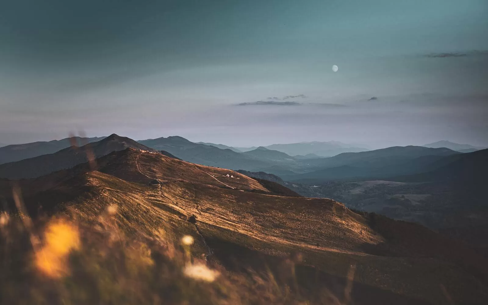 Marek Piwnicki GYgKDHSvI0o Unsplash 1 1 1