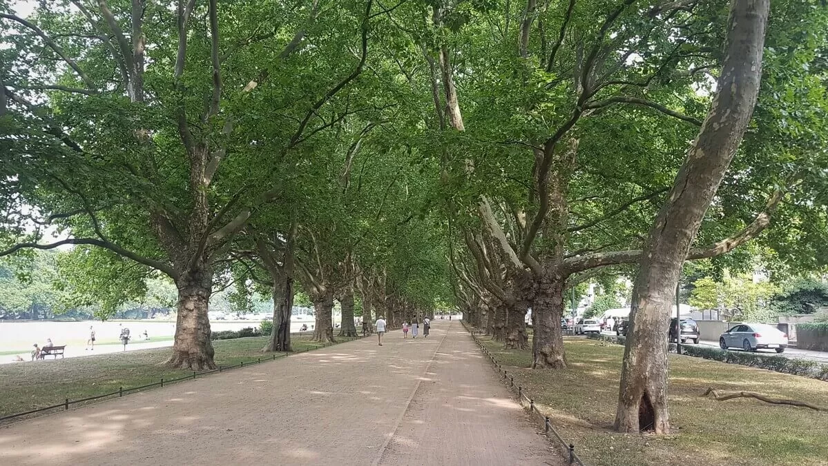 20220818 102030 Post 1