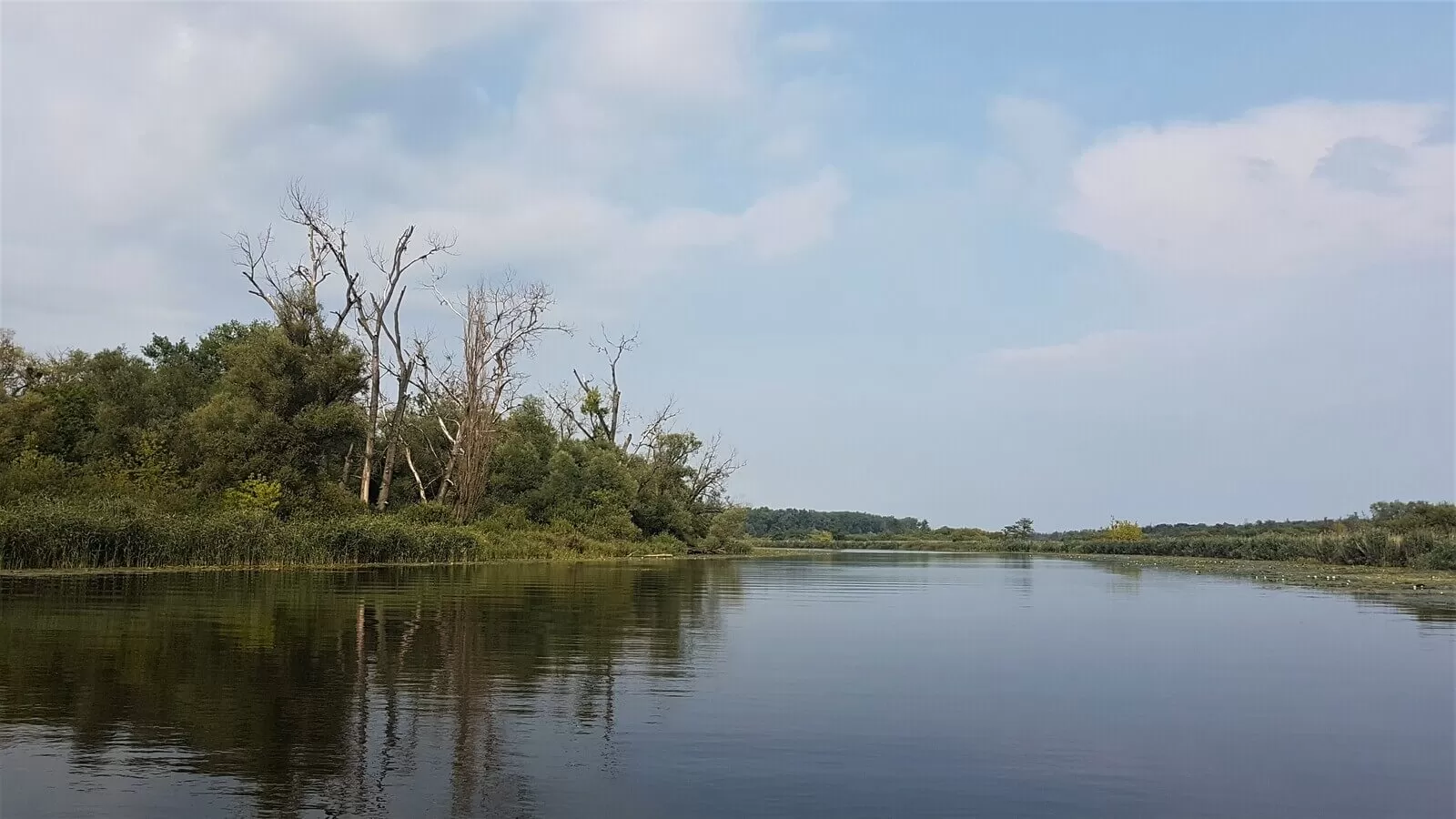 szczecin - kilka minut rejsu od centrum