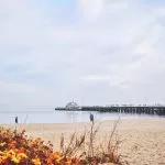 Giuseppe Gurrieri BavV2fyK YE Unsplash 1 1