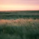 Neil Mark Thomas 1euFcqLsPWA Unsplash 1 1