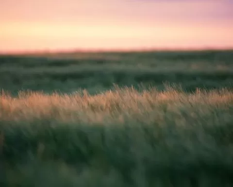 Neil Mark Thomas 1euFcqLsPWA Unsplash 1 1