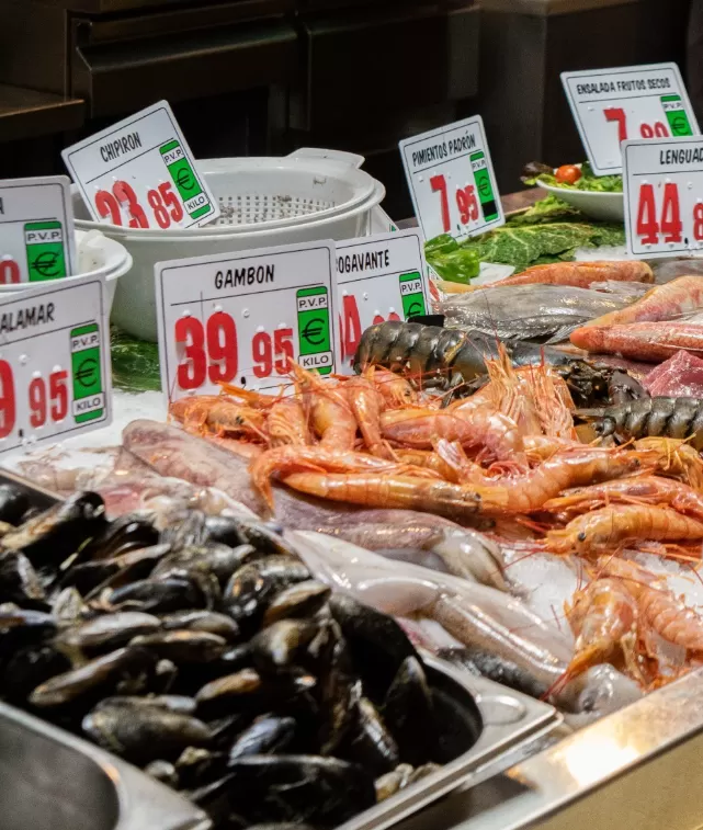 palma de mallorca, gdzie na ryby