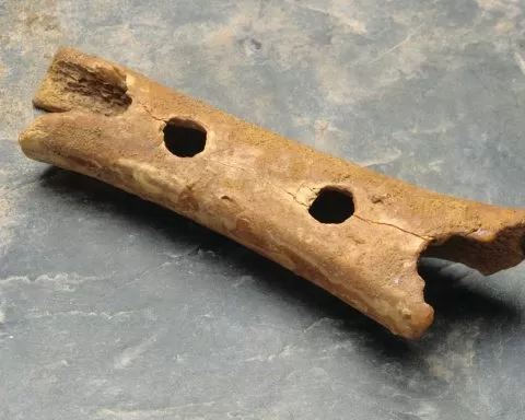 Neandertalceva Piscal Image 1