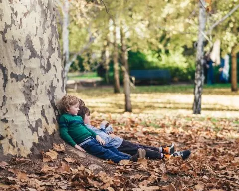 Marcus Wallis MTeZ5FmCGCU Unsplash 1 1