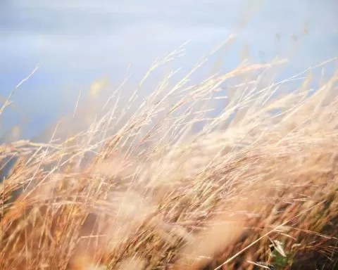 susza zmiany klimatu