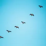 Benjamin Deyoung QrF3cP4HYsM Unsplash 1