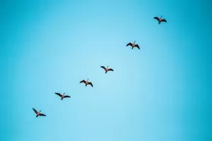 Benjamin Deyoung QrF3cP4HYsM Unsplash 1