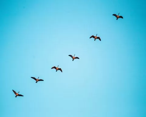 Benjamin Deyoung QrF3cP4HYsM Unsplash 1