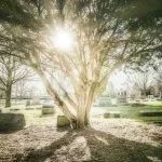 Kevin Andre VohTY5Yl3 A Unsplash 1 1