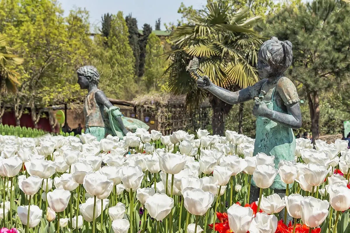 Nezahat Gokyigit Botanical Park Kuzguncuk Fot. TGA