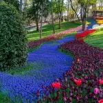 Stambul 1 Fot. TGA 1 1