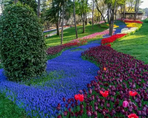 Stambul 1 Fot. TGA 1 1