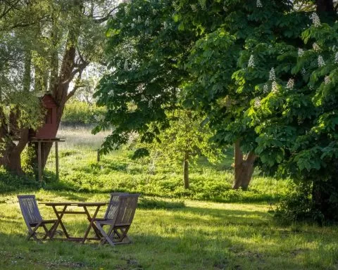 Robert Katzki KLcaQxlmhtk Unsplash 1 1