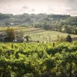 słowenia gdzie spać