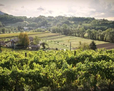 słowenia gdzie spać