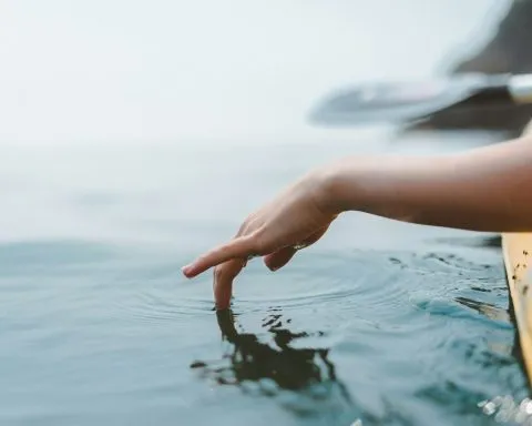 Aaron Lee WrPmNpKQUUY Unsplash 1 1