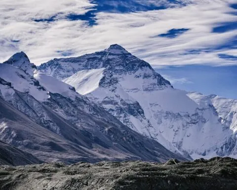 Ben Gao EeITZDXMb0M Unsplash 1 1