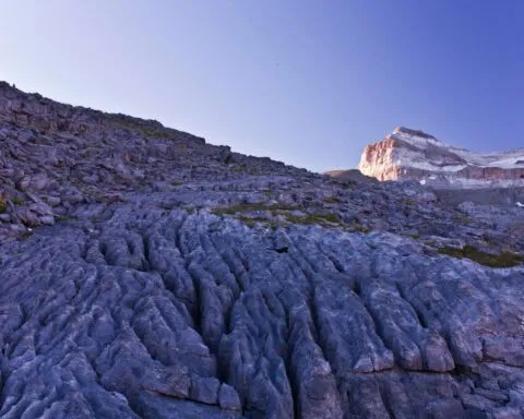 Jan Bullish LpV23xAGq O Unsplash 3