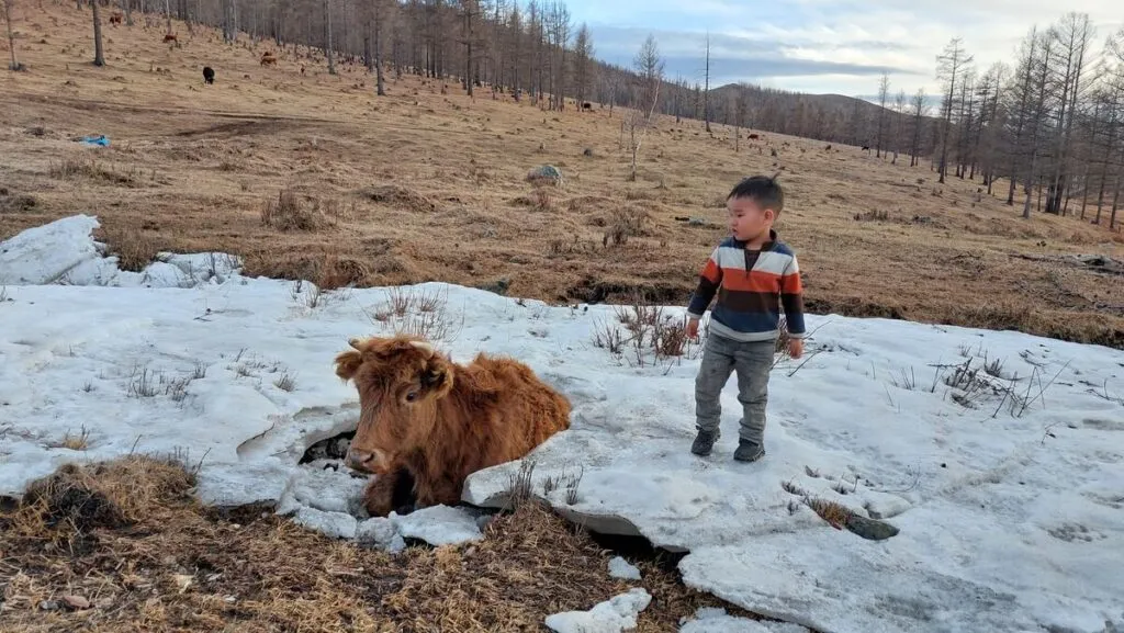 mongolia