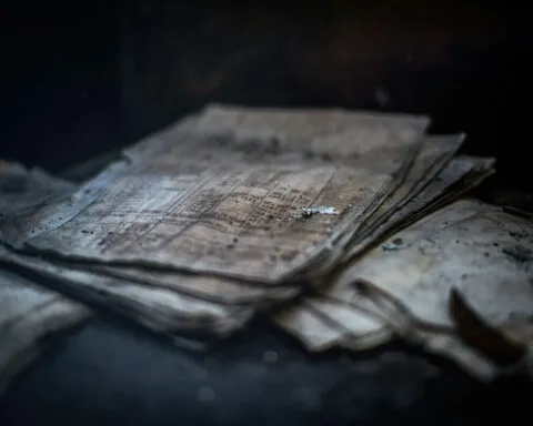 Denny Muller XVYleJiw As Unsplash 1 1