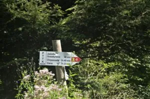 jeziorka duszatyńskie