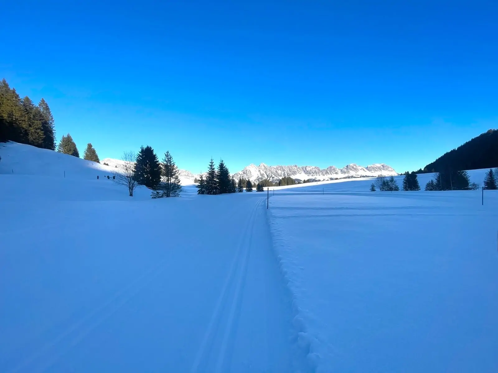 Biegowki Szwajcaria 1