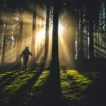 czy podróże wydłużają życie