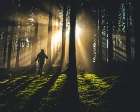 czy podróże wydłużają życie