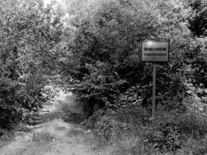 Jakub Dziewit Trojstyk 2 1