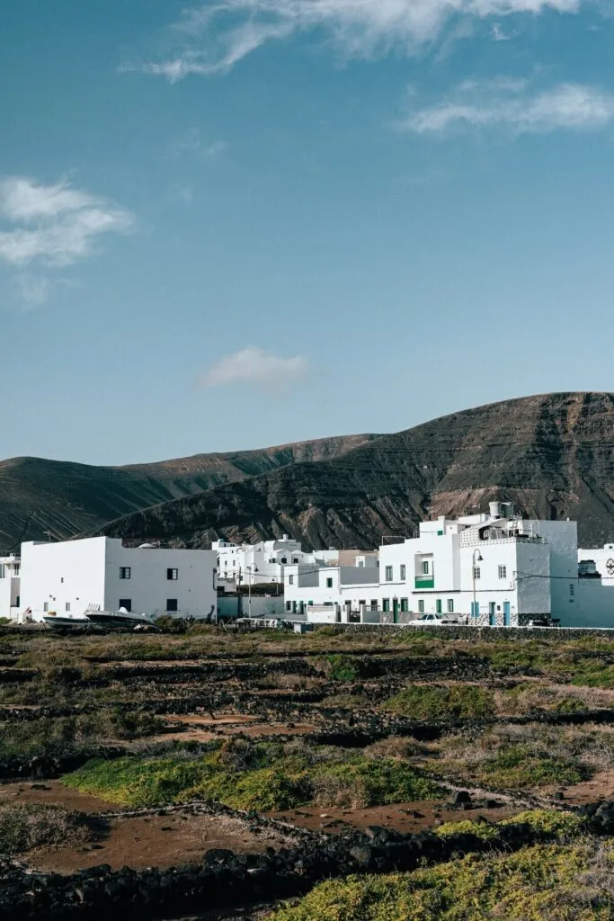 lanzarote wino