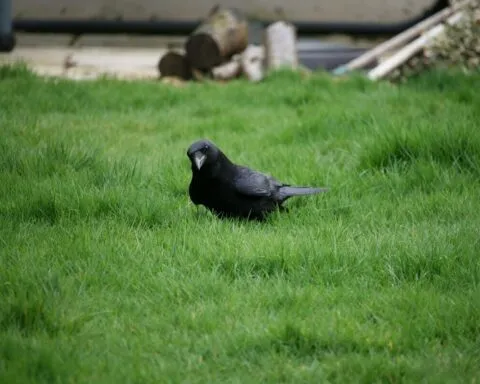 Thea Harrison 2htdUKrFAQ4 Unsplash 1 1