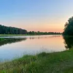 1750445901861126 1 1