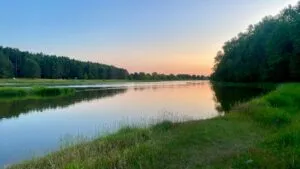 1750445901861126 1 1