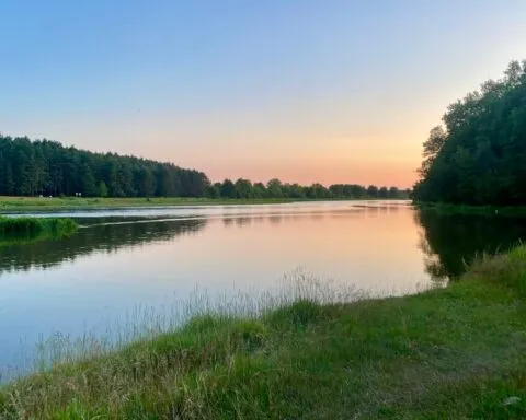 1750445901861126 1 1