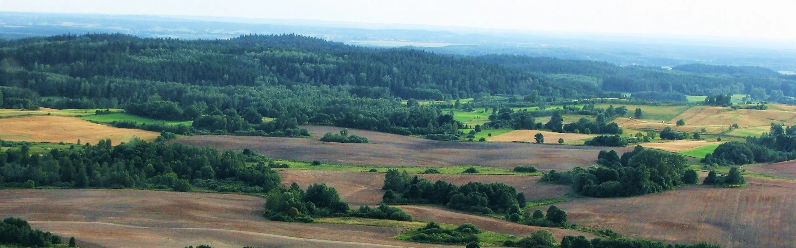 Gmina Budry1 Scaled 1