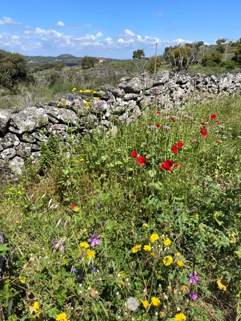 ścieżka przemytników, Alentejo