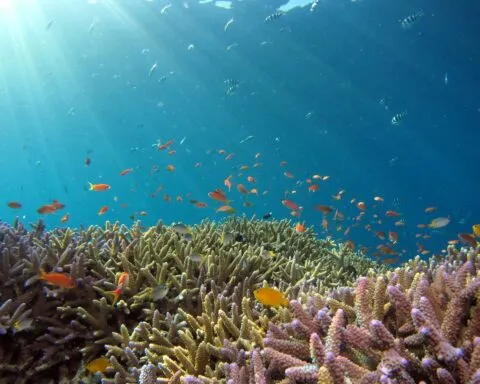 którędy do wyjścia