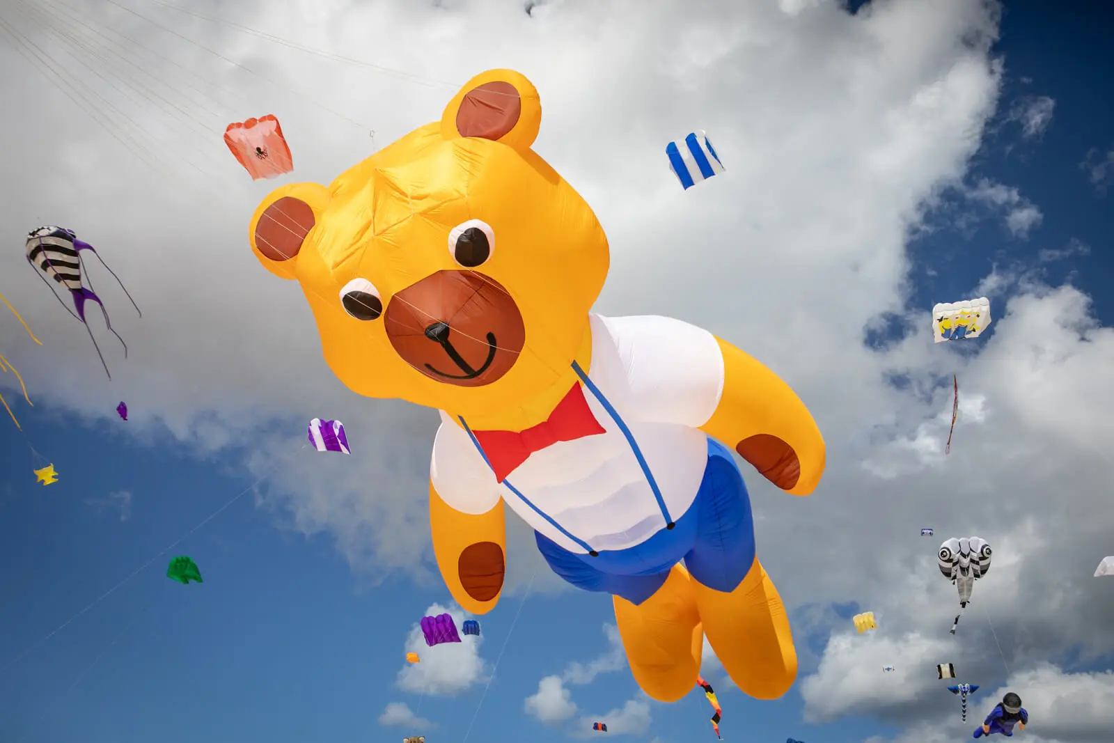 Fuerte Latawce 6039 1