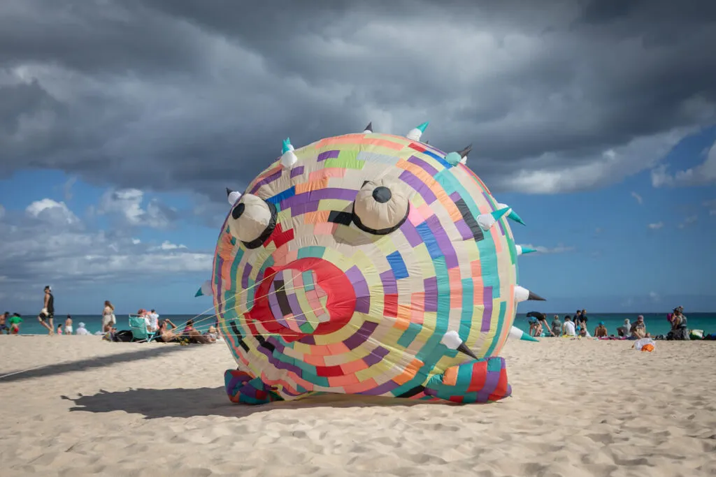 Fuerte Latawce 6155 1