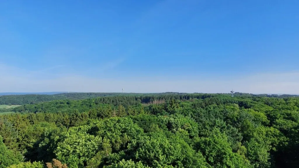 Nietypowy Dla Niderlandow Pagorkowaty Krajobraz Pogranicza1