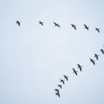 Thanh Nguyen Bvc0g9owYG0 Unsplash 1 1